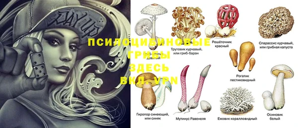 ГАЛЛЮЦИНОГЕННЫЕ ГРИБЫ Волоколамск